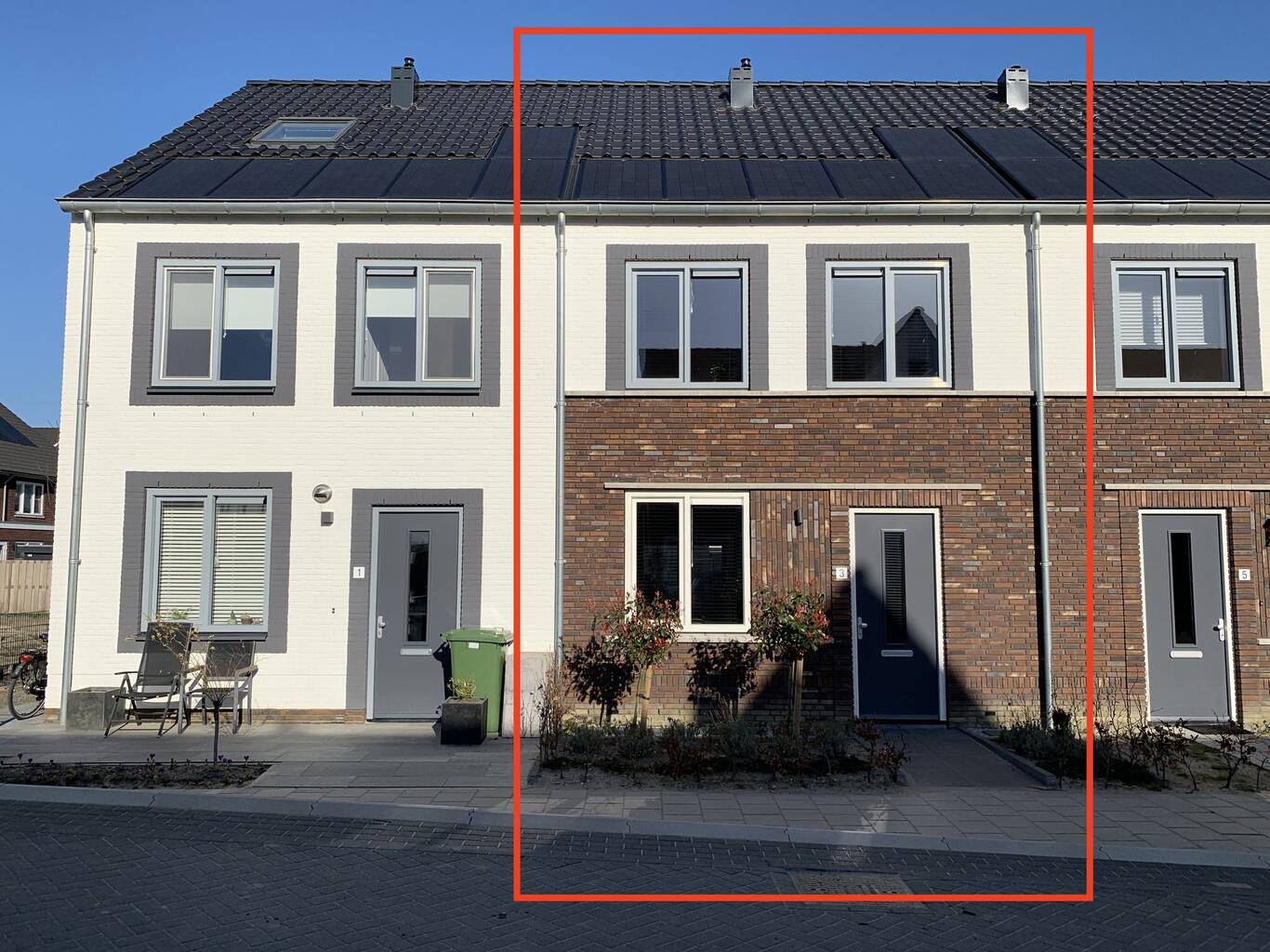 Palmkool 3 ROELOFARENDSVEEN