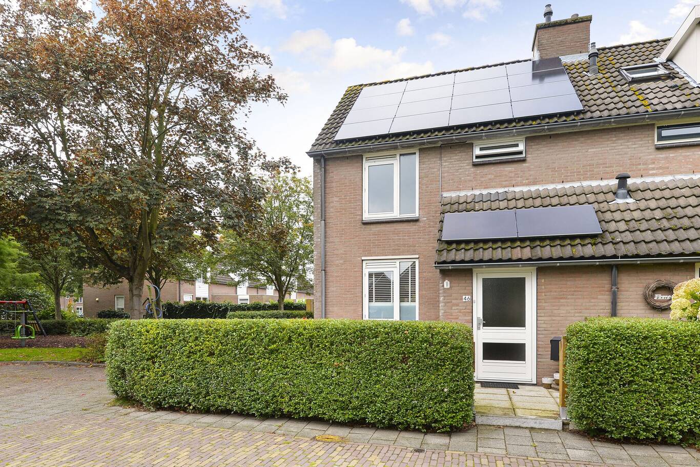 Grote Beer 46 LISSE