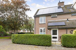 Grote Beer 46, LISSE